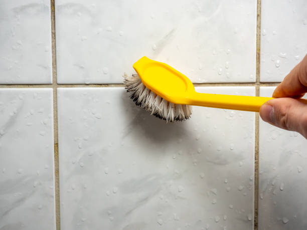 Best Fast Mold Removal  in Porter, IN